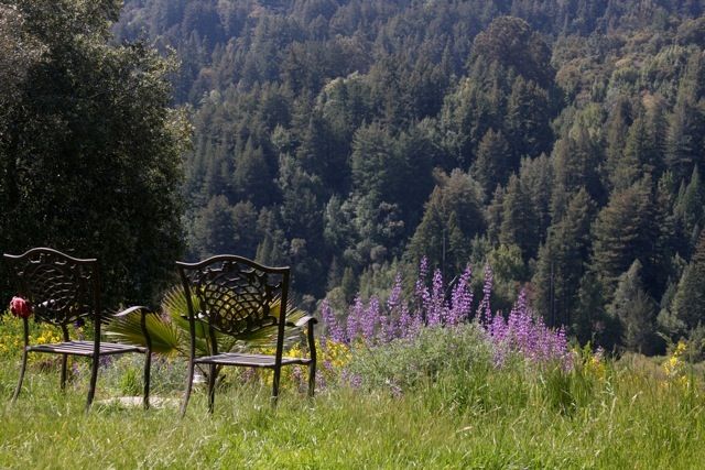 Lupin Lodge Clothing Optional Resort In The Santa Cruz Mountains