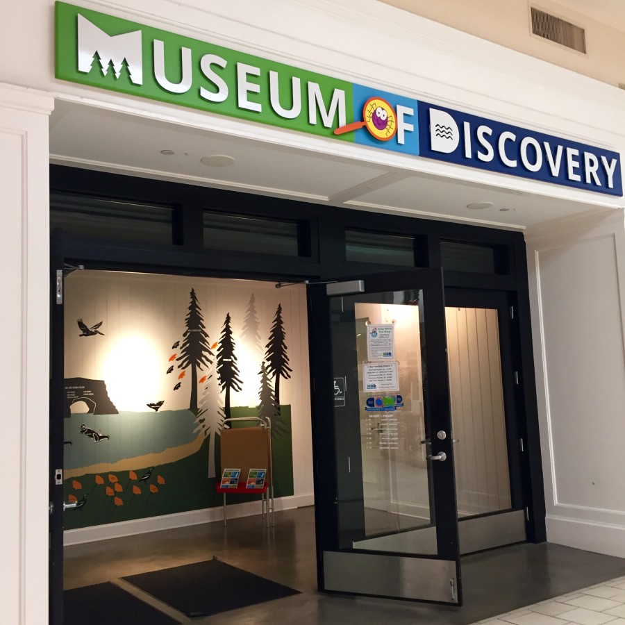 Rainy Day Script – Discovery Center Store