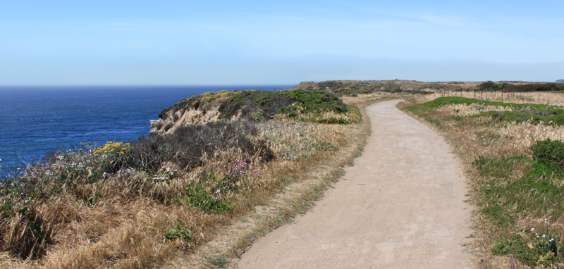 Old Cove Landing Trail, Wilder Ranch