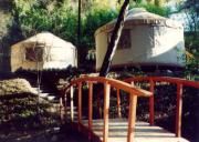 lupin lodge yurt