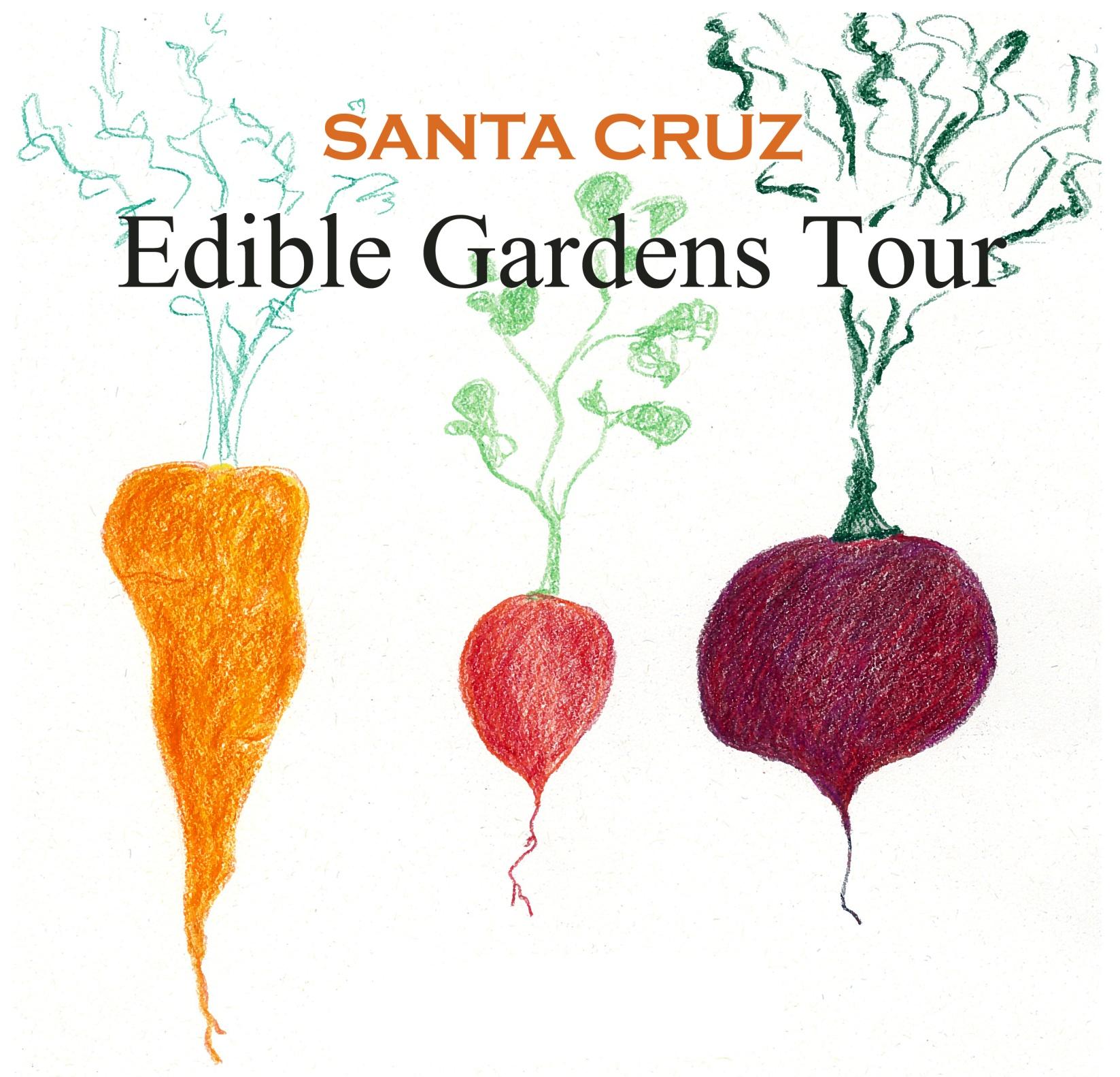 Santa Cruz Edible Gardens Tour