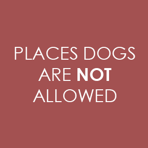 no-dogs