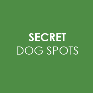 secret-dog-spots