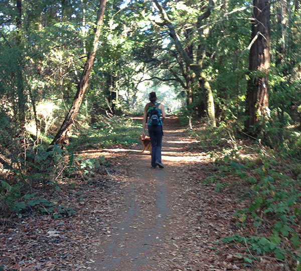 Chaminade Hiking Trail, Santa Cruz