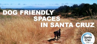 Dog Friendly Spots in Santa Cruz