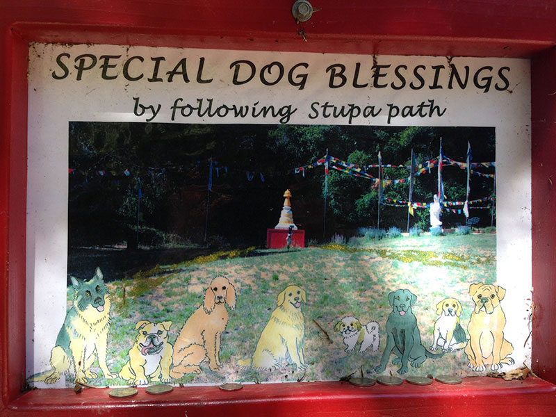 Land of the Medicine Buddha Dog Blessing Sign