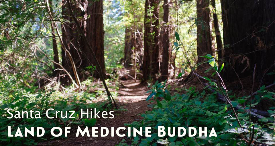 land of medicine buddha hike in santa cruz