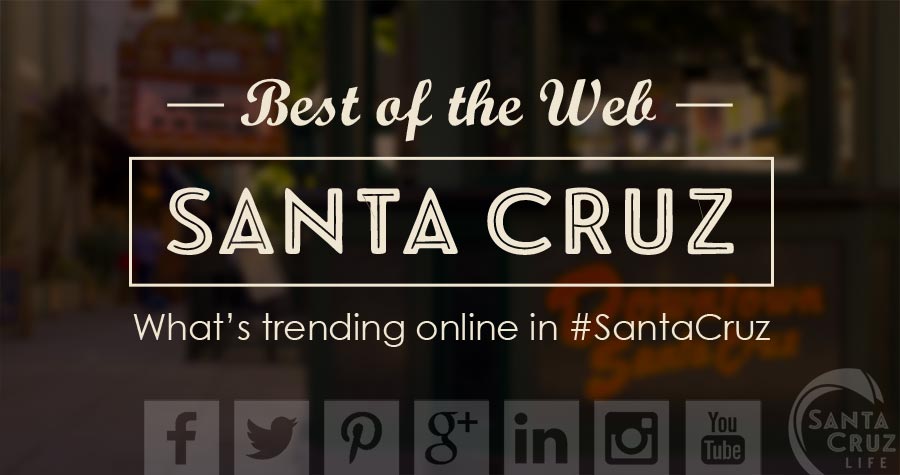 santa cruz best of the web