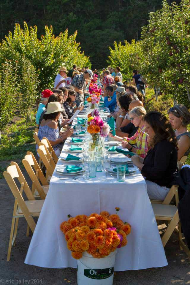 Route 1 Farms Summer Dinner Series, What Is A Farm To Table Dinner