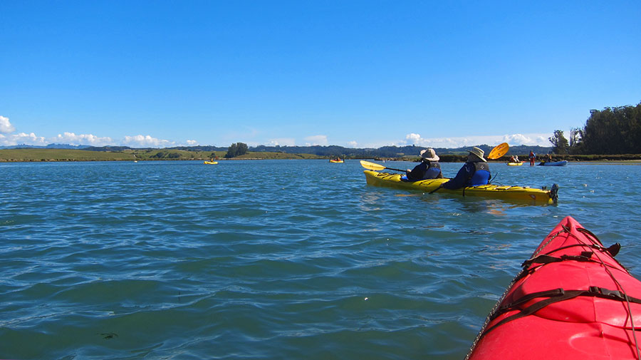 elkhorn slough kayaks