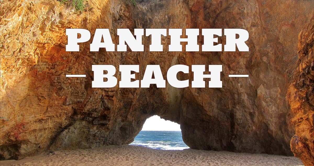 Panther Beach Santa Cruz, Fire Pits Santa Cruz Beaches