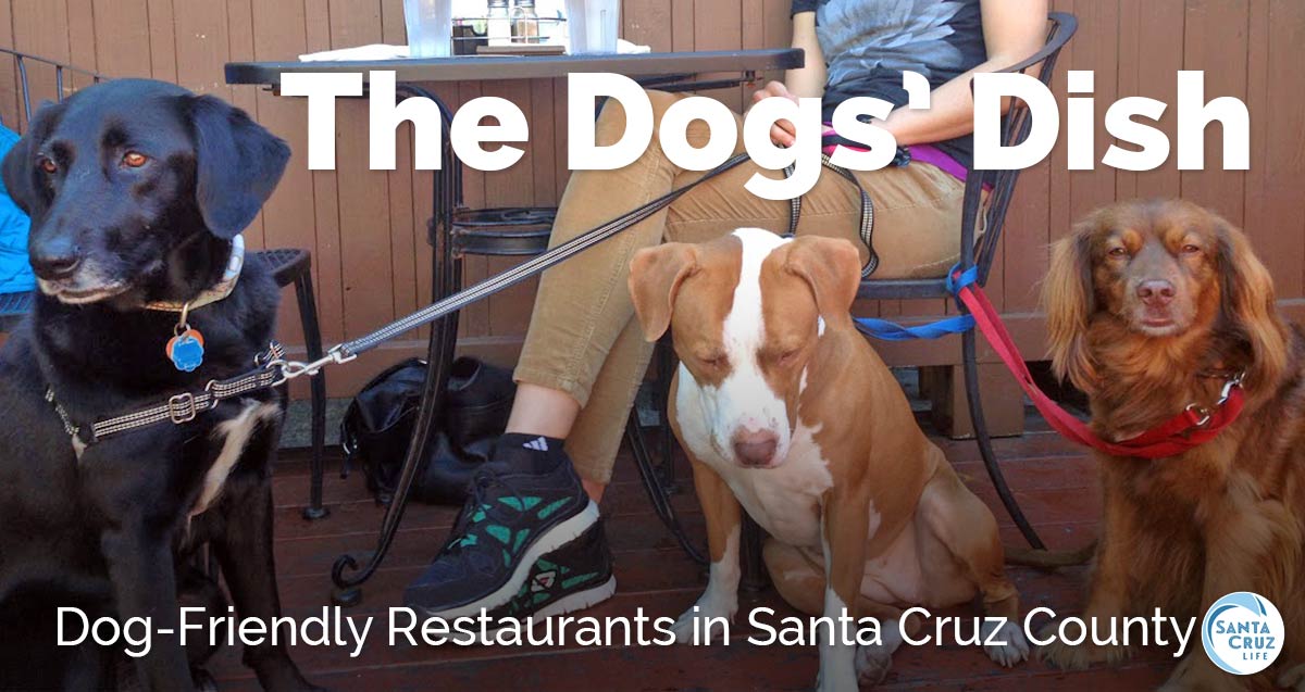 dog friendly restaurants in santa cruz, ca
