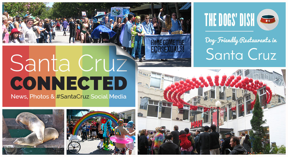Santa Cruz Connected, June, 2015