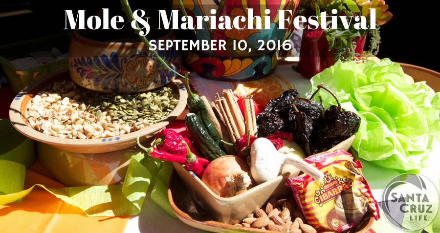 Mole & Mariachi Festival-4