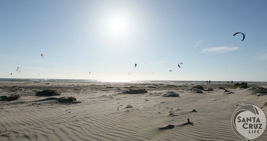 Waddell Beach Windsurfers