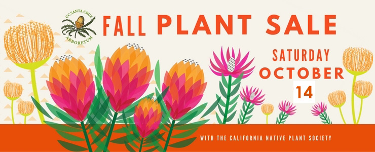 UCSC Arboretum Fall plant sale