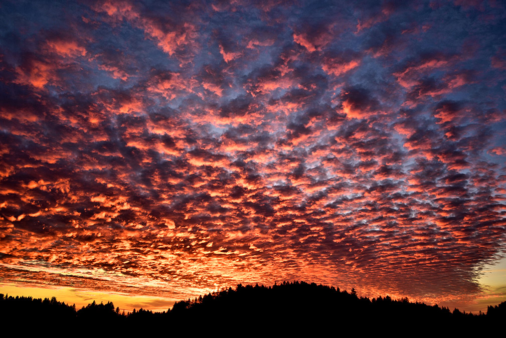 Santa Cruz Mountains Sunset