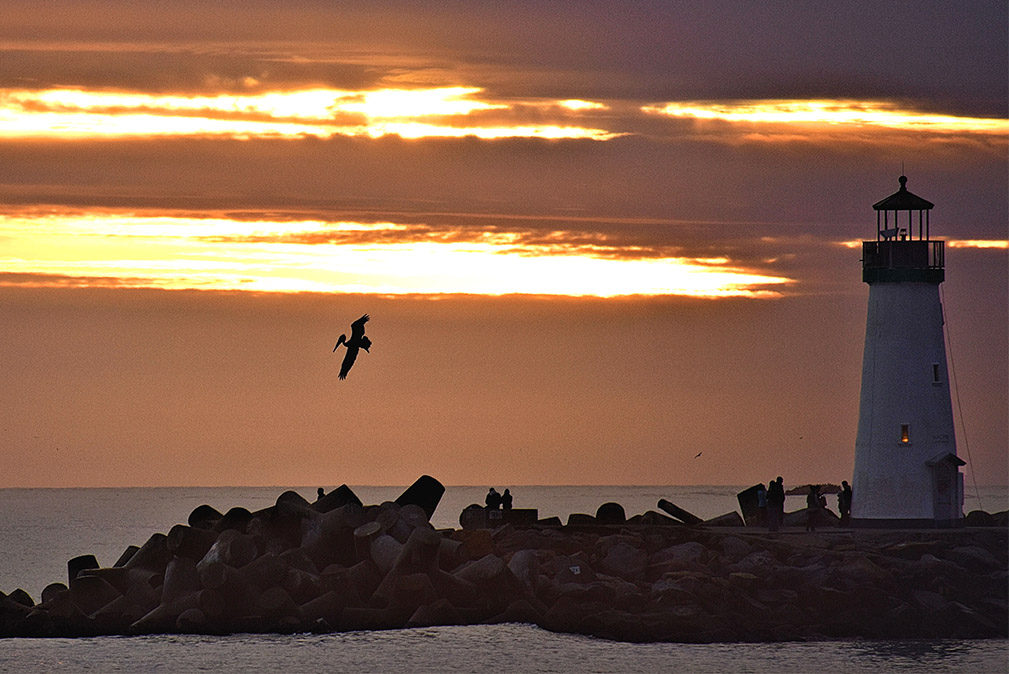 Walton Lighthouse Sunset With Pelican