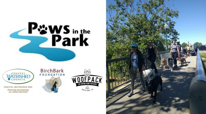 paws in the park